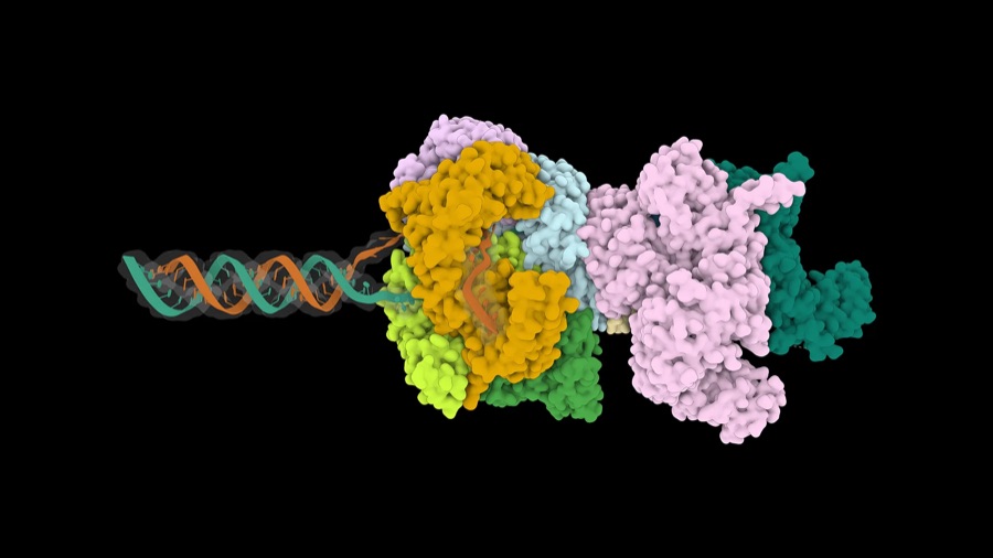 Co-folding with the BioNeMo Agent Toolkit