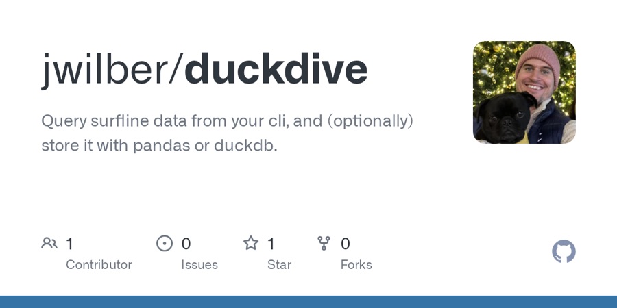 duckdive
